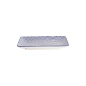 Preview: Sushi Plate Nippon Blue Waves, White, Porcelain, 21 × 13.5 cm, Item No. 15607
