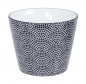 Preview: 4 pcs Cup Set at Tokyo Design Studio (picture 3 of 6)