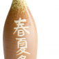 Preview: 23 cm Brown (Akinai) Sake Bottle Deco at Tokyo Design Studio (picture 3 of 6)