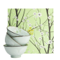 Preview: Green Cosmos 4 Schalen Set bei Tokyo Design Studio (Bild 1 von 5)