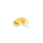 Preview: TDS, Chopsticks Rest, Cat Brown, Item No. 33585
