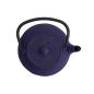 Preview: Arare iron cast teapot at Tokyo Design Studio (picture 3 of 7)