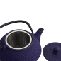 Preview: Arare iron cast teapot at Tokyo Design Studio (picture 4 of 7)