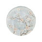 Preview: Plate Fujisakura Grey, Porcelain, Ø 24.7 cm, Item No. 617508