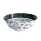 Preview: Flora Japonica Noodle Bowl at Tokyo Design Studio (picture 5 of 6)