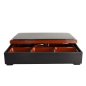 Preview: ABS Lacquerware Bentobox at Tokyo Design Studio (picture 1 of 3)