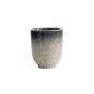 Preview: TDS, Tea Cup, Tajimi, 170ml, Item No. 7996