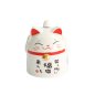 Preview: Blue Kawaii Lucky Cat Mug at Tokyo Design Studio (picture 4 of 4)