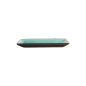 Preview: Sushi Plate Glassy Turquoise, 21.5 × 12.7 cm, Item No. 8167