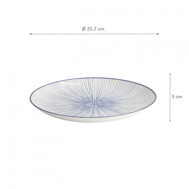 Nippon Blue Plate at Tokyo Design Studio (picture 6 of 6)