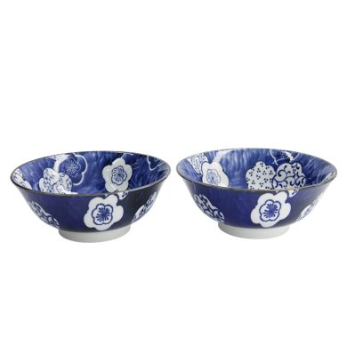 TDS, Ramen Schale, 2-tlg., Geschenkset, Blau, Ø 19x7,5cm 1100ml, Art.-Nr. 33228