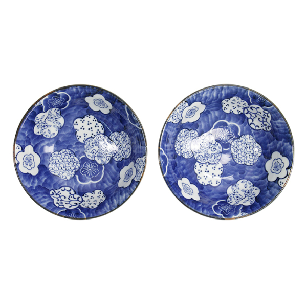 TDS, Ramen Bowl Gift Set, Blue, 2-piece set, Ø 19x7.5cm 1100ml, Item No. 33228