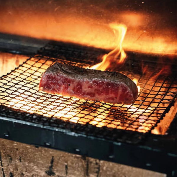 TDS, Konro Grill Net for all Diatomite Grills, Kitchenware, 27x21 cm, item no. 17386