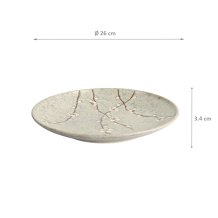 Grey Soshun Plate at Tokyo Design Studio (picture 5 of 5)